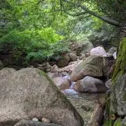 Risaの画像