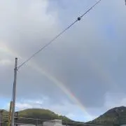 たぁこの画像