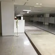 プーヤンの画像