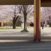 は