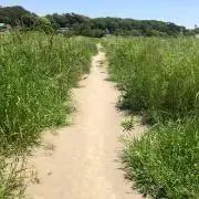 断捨離