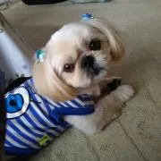 らむみるく