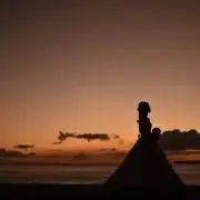 minmico