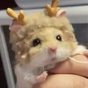 ななせ。の画像