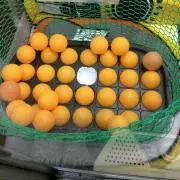 くるまえび