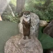 Nの画像