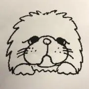 nao.kの画像