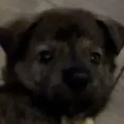 ✩める‪‪✩の画像