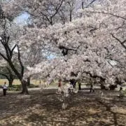 プーさん2020の画像