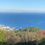 もちの画像