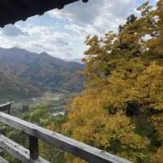 N町の住人