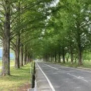 インテルの画像