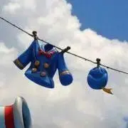 けこの画像