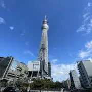 しーちゃんの画像