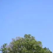 EKK*^^*の画像