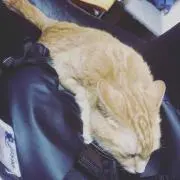 ヌマキヨ