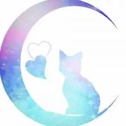 ☆ねこ☆