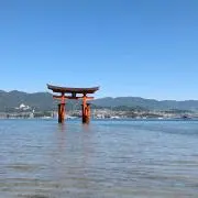 どんぶら娘の画像