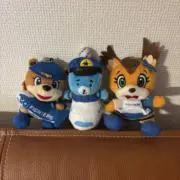 aroeの画像
