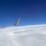 はりーまんそんの画像