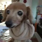 くうちゃん