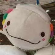 ポン吉