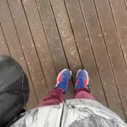 てんの画像
