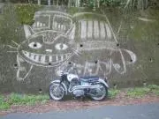 コントレイルズの画像