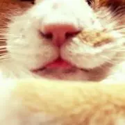 まひまひ♡
