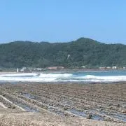 だだん