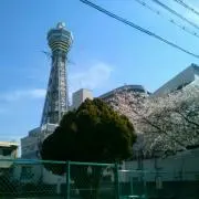 ネット