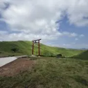 キング・アリ| 24時間以内発送の画像