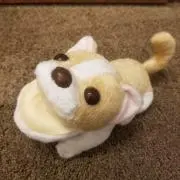 あっぴ