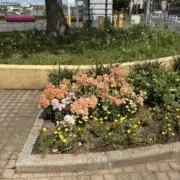 Glifeの画像