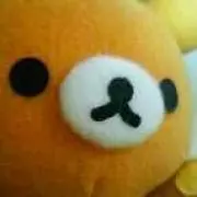 ぴのこ