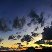 むむの画像
