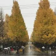 へいぼんの画像