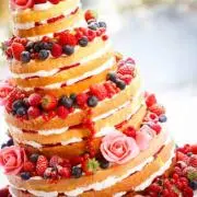 むにあ村の画像
