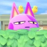 ゆうり
