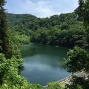 ヒィーチャンの画像