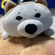 田舎のお兄さんの画像