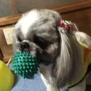 こころ