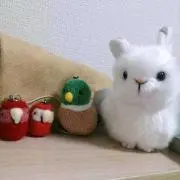 ❇️Tabby❇️の画像
