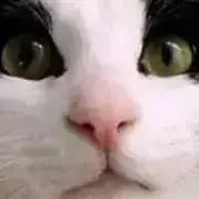 HiromiHの画像