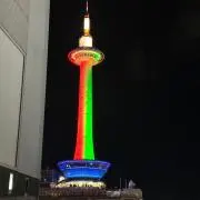 一条の画像