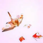じーこ