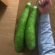 ドンドン