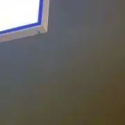 ミミ