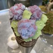 やぬの画像