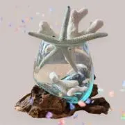 びーさん［匿名配送　丁寧に発送します］の画像